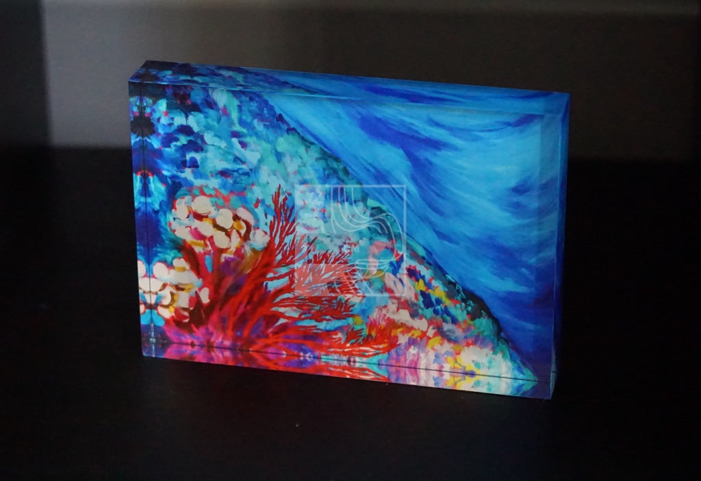 Reef Acrylic Block - Chelsea Martin Art