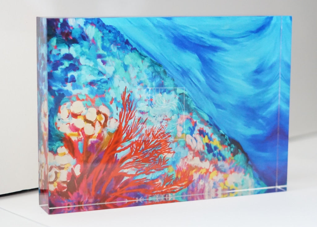 Reef Acrylic Block - Chelsea Martin Art