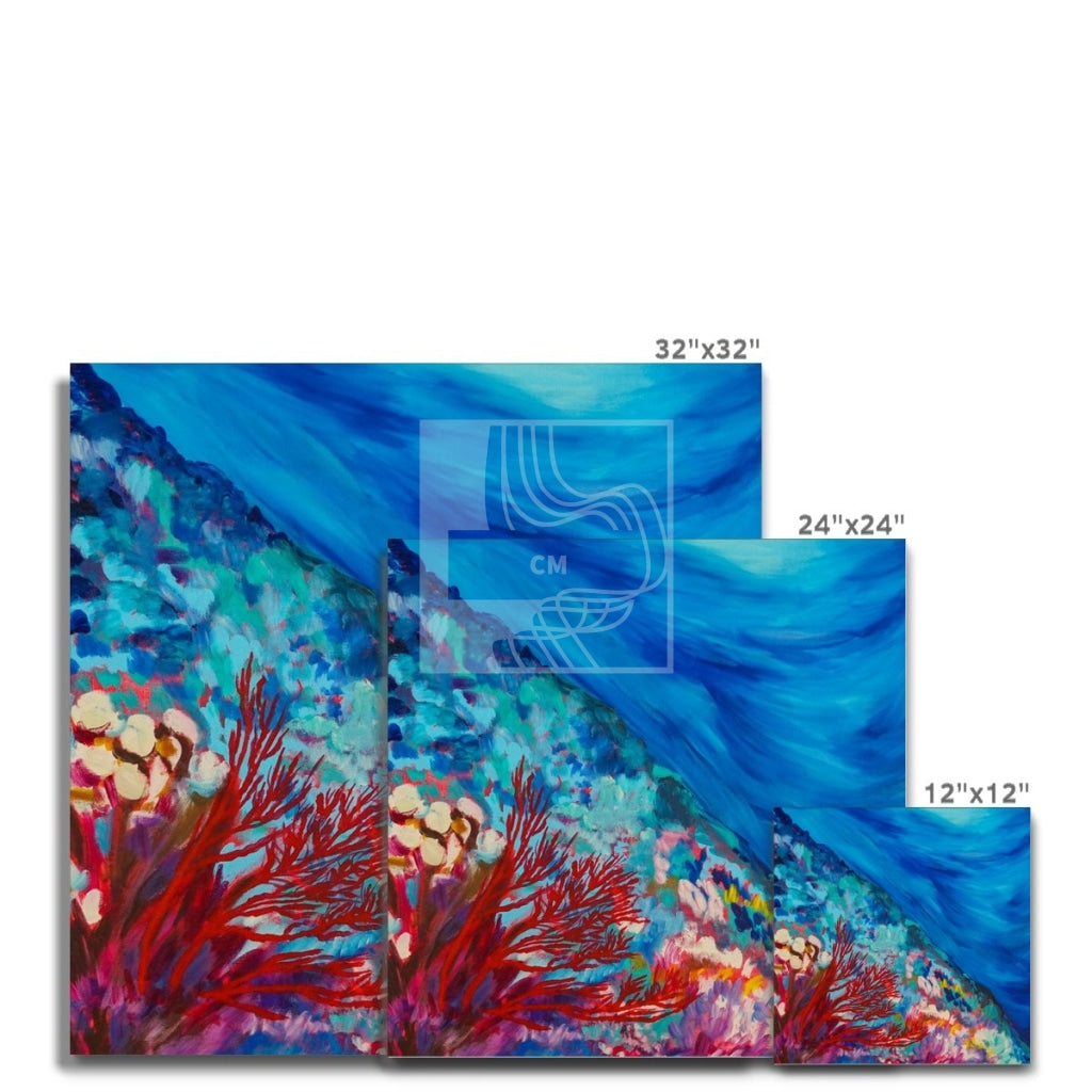 Reef Canvas - Chelsea Martin Art