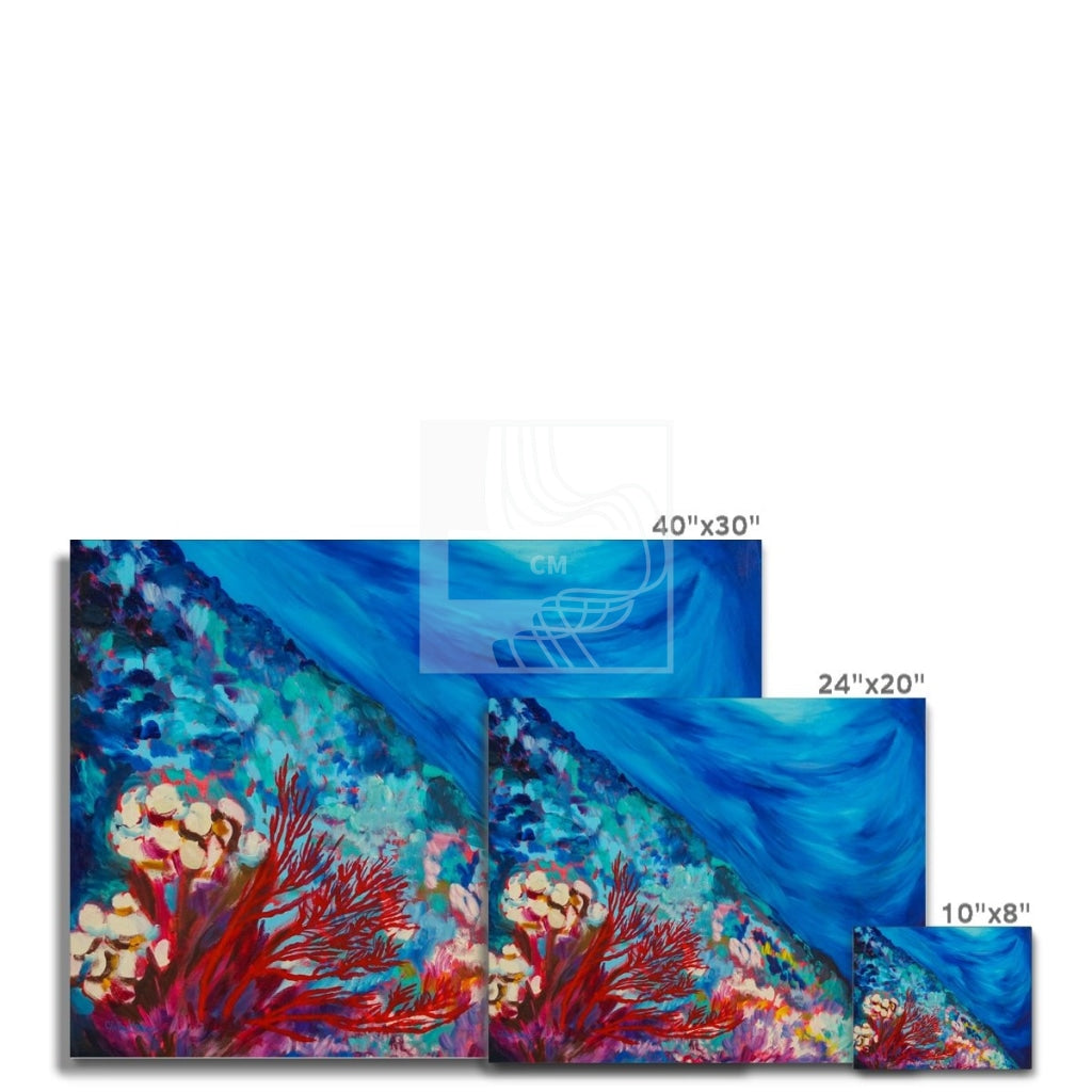 Reef Canvas - Chelsea Martin Art