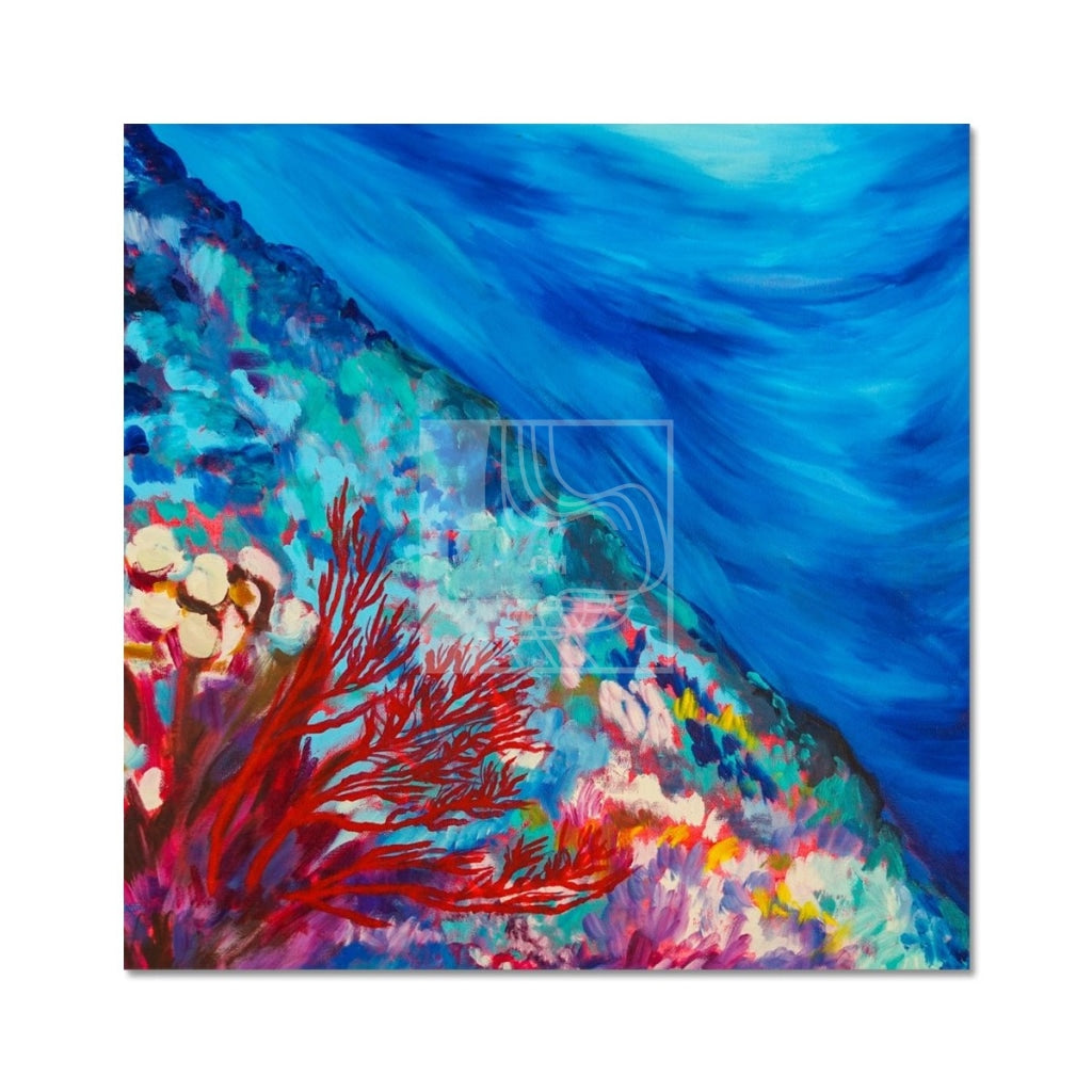 Reef Fine Art Print - Chelsea Martin Art