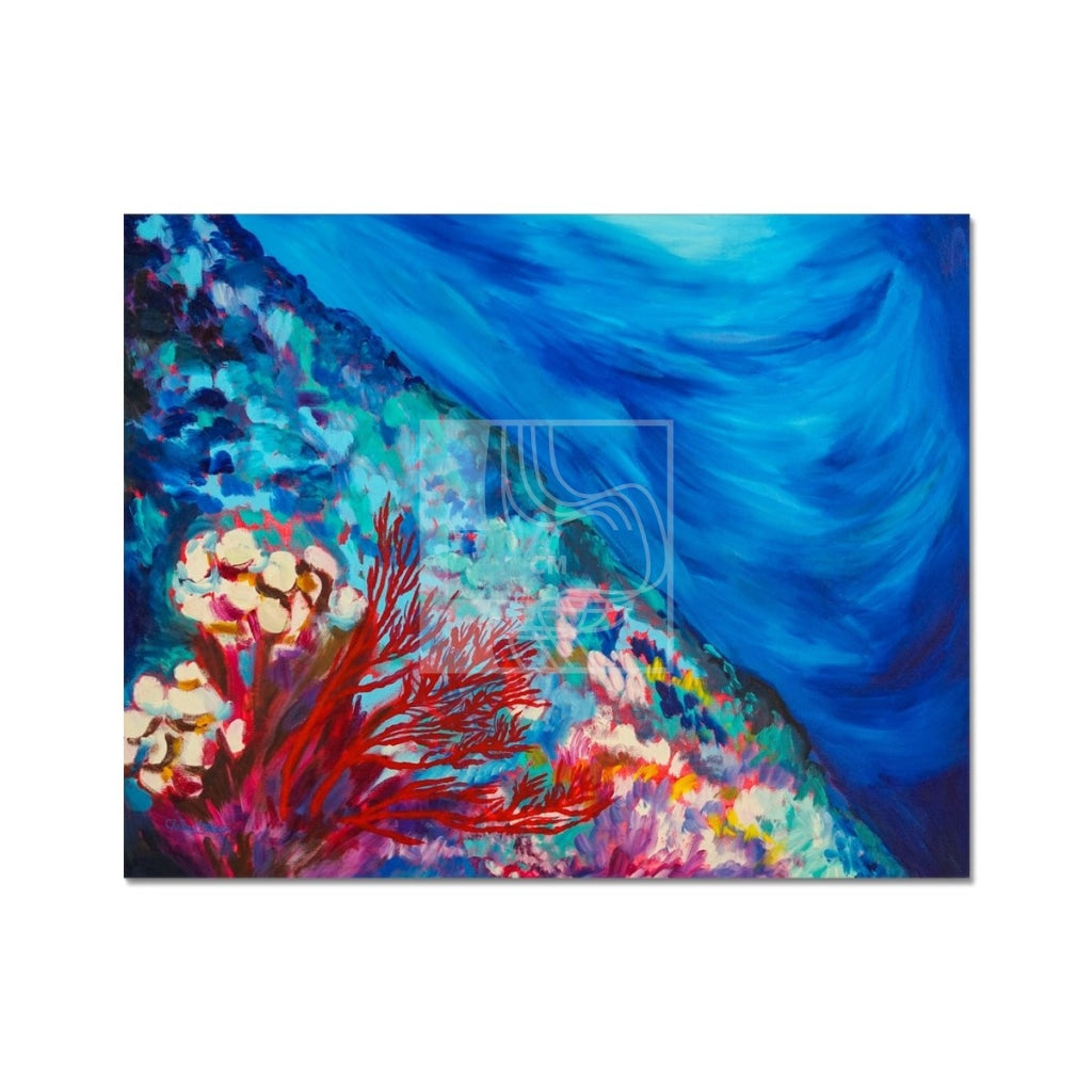 Reef Fine Art Print - Chelsea Martin Art