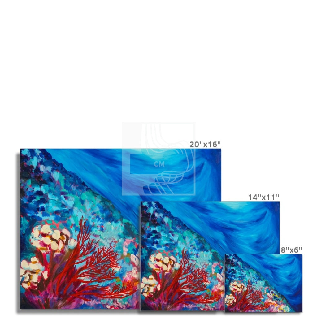 Reef Fine Art Print - Chelsea Martin Art