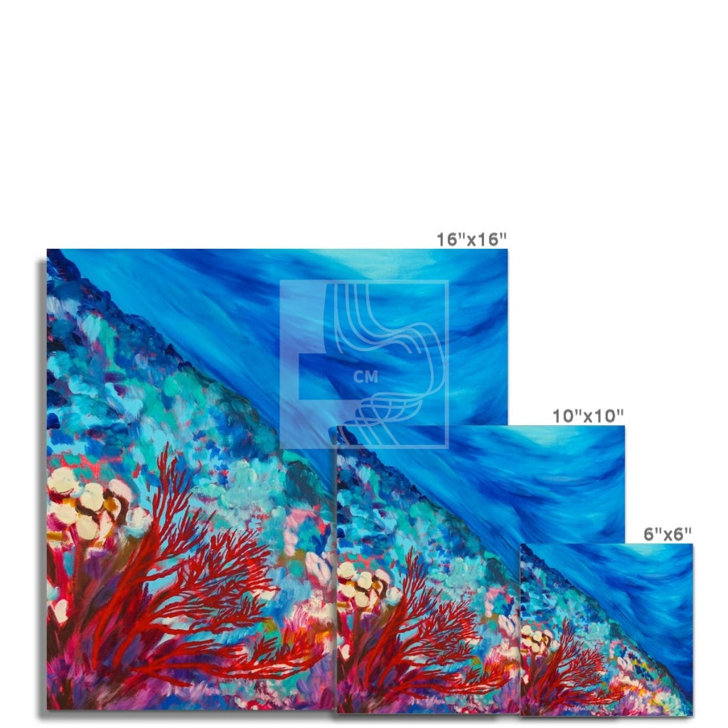 Reef Fine Art Print - Chelsea Martin Art